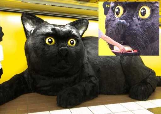 Gatito gigante negro en la estación de tren de Japón da regalos a cambio de frotamiento de la nariz