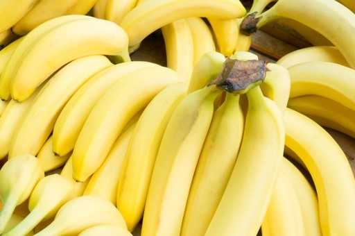 Бананы могут исчезнуть с нашей планеты