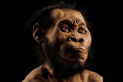 В Южной Африке ученые обнаружили ранее неизвестного предка человека – Homo naledi
