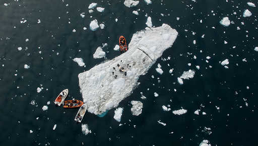 Первый в мире концерт на айсберге занесут в Книгу рекордов Гиннеса (видео)