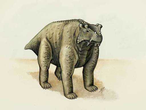 Рептилия размером с корову, возможно, была первым созданием на планете, которое стояло на четырех лапах