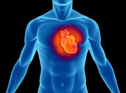 Ученые нашли способ всего за два месяца улучшить работу сердца