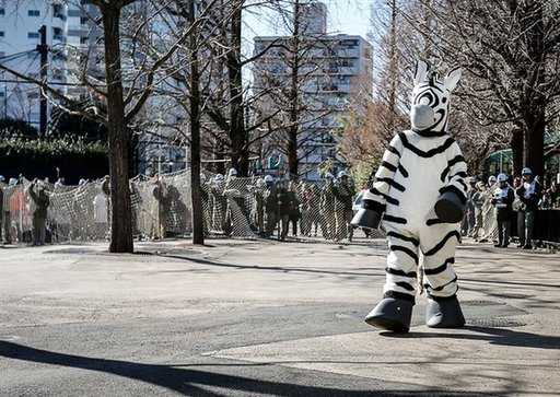 В токийском зоопарке поймали девушку в костюме зебры