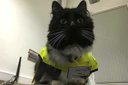В Великобритании старшим контролером вокзала назначили кошку