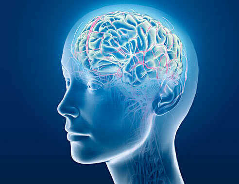 В мозге обнаружили “критическую точку” сознания