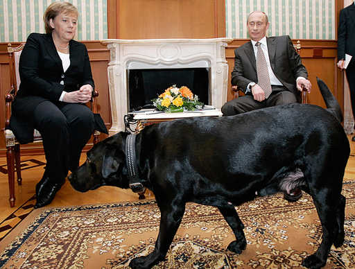 Путин отрицает, что натравил свою собаку на Ангелу Меркель