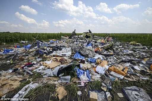 Экс-СБУшник: У одной из стран есть спутниковые снимки катастрофы MH17
