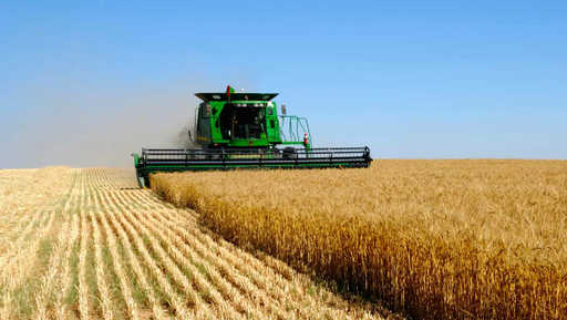 Ukrainian agricultural export may be under threat of being banned - expert says