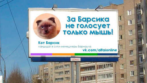 Жители сибирского города устали от коррупции во власти, хотят назначить мэром кота