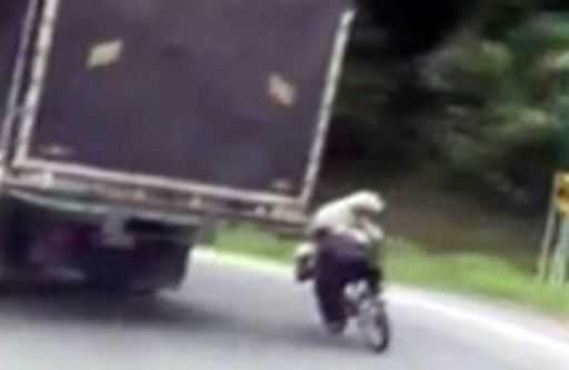 Cyclist and his dog hitch a lift on back of truck in stunt slammed as 'reckless' by viewers