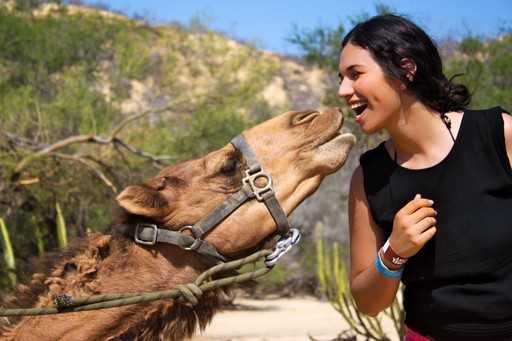 В Саудовской Аравии семья оказалась на грани развода из-за… поцелуя с верблюдом