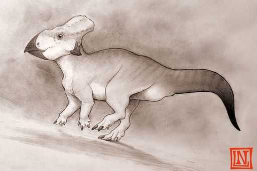 В Северной Америке обнаружили останки динозавра размером с собаку