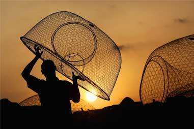 Fish traps with GPS, underwater cameras launched