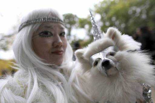 В Нью-Йорке прошел крупнейший парад собак на Хэллоуин