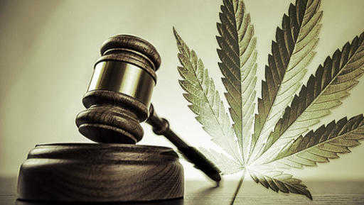 Легализация марихуаны может принести Канаде до $3,6 млрд налогов
