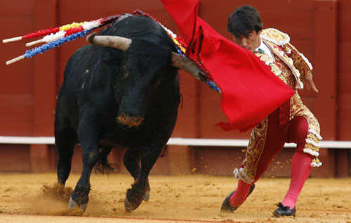 La corrida spagnola dovrebbe avere la protezione dell'Unesco: gruppo pro-tori