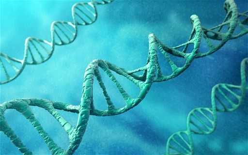 Выдаленне генаў можа павялічыць працягласць жыцця на 60 адсоткаў, лічаць навукоўцы