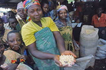 ООН ищет $220 миллионов, чтобы накормить жителей Зимбабве