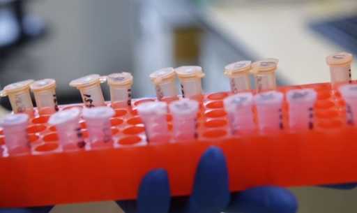 Учёные провели первые испытания универсальной вакцины против рака