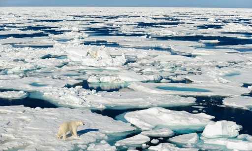 Северный полюс прогрелся до плюсовой температуры