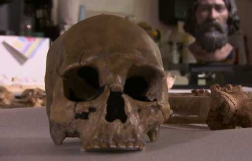 Археологи обнаружили в Мексике необычный скелет