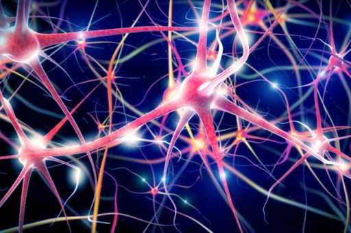 Учёным удалось соединить нейроны с помощью лазера