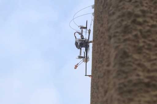 Учёные из США показали робота-жука (видео)