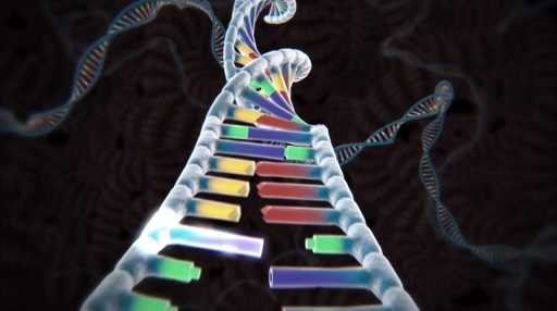 Учёные впервые отредактируют геном человека