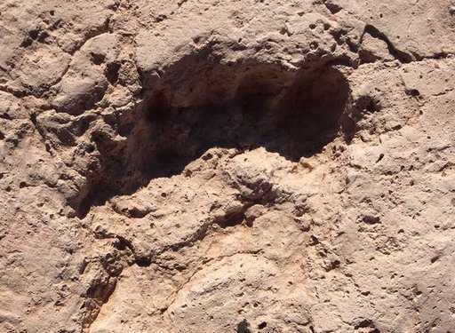 Найденные в Аризоне человеческие следы принадлежат древним фермерам
