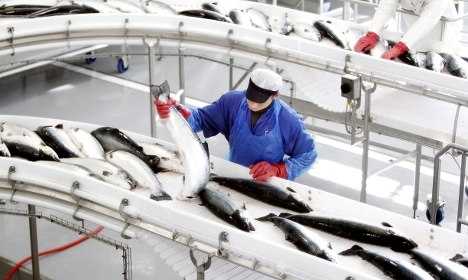 Норвегия издает новый закон о расширении поставок рыбы