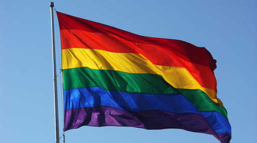 Министр иностранных дел запретил британским посольствам вывешивать флаг ЛГБТ-общества