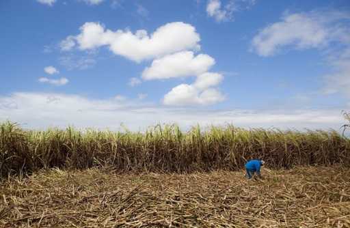 Plan rolny Mozambiku, który wysiedlił 100 000 rolników