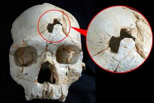 Spanish cave Sima de los Huesos reveals first known murder victim
