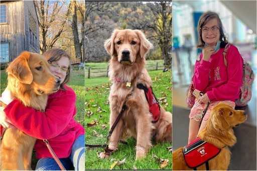 Perros de alerta diabética: cómo un perro cambió la vida de una niña para siempre