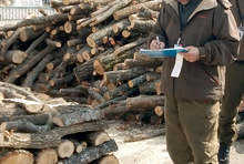 У Таргавішчы больш за 2300 хатніх гаспадарак атрымалі больш за 17 тысяч кубаметраў дроў