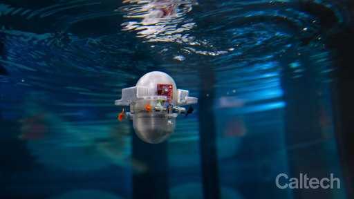 Los ingenieros entrenan a la inteligencia artificial para volar drones oceánicos con la máxima eficiencia energética
