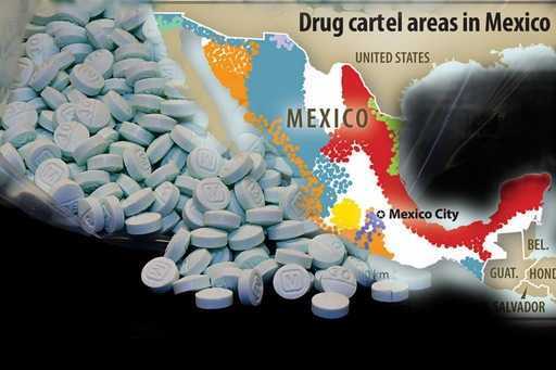 Агентство по борьбе с наркотиками конфисковало 300 кг фентанила, заявили мексиканские наркокартели, что привело к рекордному количеству смертей от передозировки