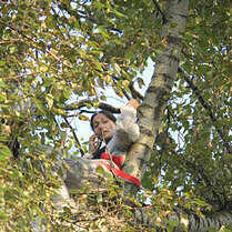 Ein Moskauer, der mit einer Armbrust an einem Baum protestierte, wurde für 5 abgebrochene Äste bestraft