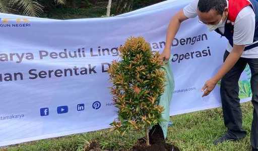 Хутама Карья посадила 60000 деревьев на платной Трансуматринской дороге
