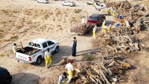 Муниципалитет Шарджи бесплатно раздает горожанам дрова