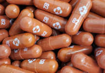 В Японии одобрены таблетки Merck Covid