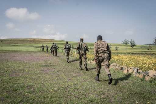 Rząd Etiopii mówi, że armia na razie nie wejdzie głębiej w Tigray
