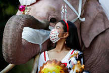 Япония - Слоны Деды Морозы раздают маски для лица в школе