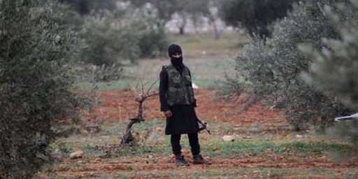 Na obszarach Afrin protureckie gangi nadal wycinają drzewa i terroryzują ludność