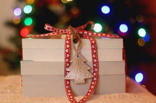 Rusia - Bajo el árbol de Navidad: libros que serán un gran regalo para el Año Nuevo