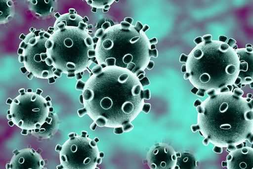 775 нови заразени с COVID-19, 81 смъртни случая са съобщени през последните 24 часа