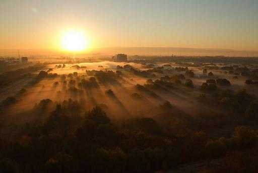 Фото дня в Румынии: Восход солнца над природным парком Вэкарешти в Бухаресте