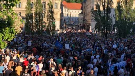 Словения - перед парламентом прошел митинг против нового законопроекта о борьбе с ковидом