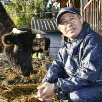 Japan - Fukushima-Rinderzüchter unter den Einwohnern von Okuma erlaubt die erste Übernachtung seit 10 Jahren