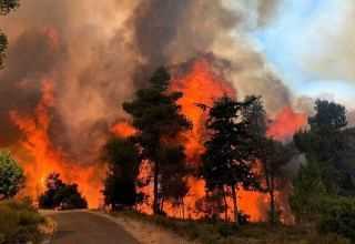 Kolorado ogłosił stan wyjątkowy z powodu pożarów